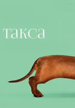 Такса / Wiener-Dog (2015) фильм скачать через торрент в хорошем качестве