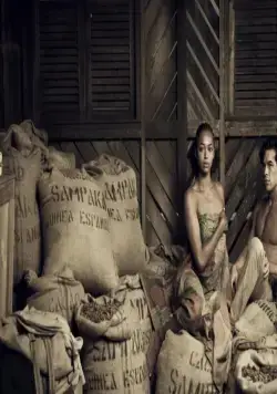 Пальмы в снегу (2015) через торрент скачать Пальмы в снегу (2015) фильм через торрент скачать