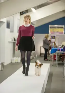 Псы под прикрытием (2018) в хорошем качестве через торрент Псы под прикрытием (2018) фильм в хорошем качестве через торрент