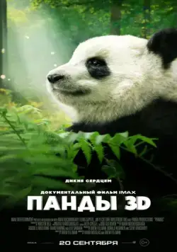 Панды 3D / Pandas (2018) фильм скачать через торрент в хорошем качестве
