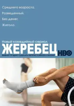 Жеребец / Hung (2009) сериал скачать через торрент в хорошем качестве
