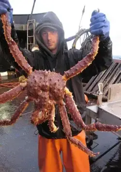 Смертельный улов (2005) через торрент скачать Смертельный улов (2005) сериал через торрент скачать