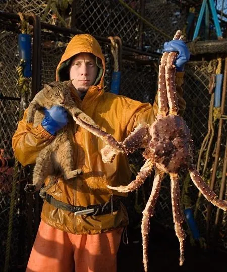 Смертельный улов (2005) в хорошем качестве через торрент Смертельный улов (2005) сериал в хорошем качестве через торрент