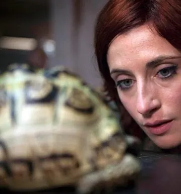 Отбросы (2009) через торрент скачать Отбросы (2009) сериал через торрент скачать