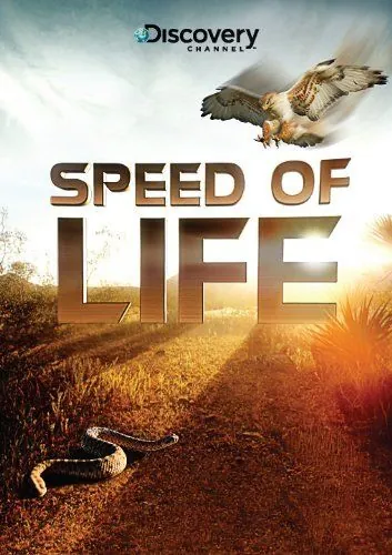 Discovery: Скорость жизни / Speed of Life (2010) сериал скачать через торрент в хорошем качестве
