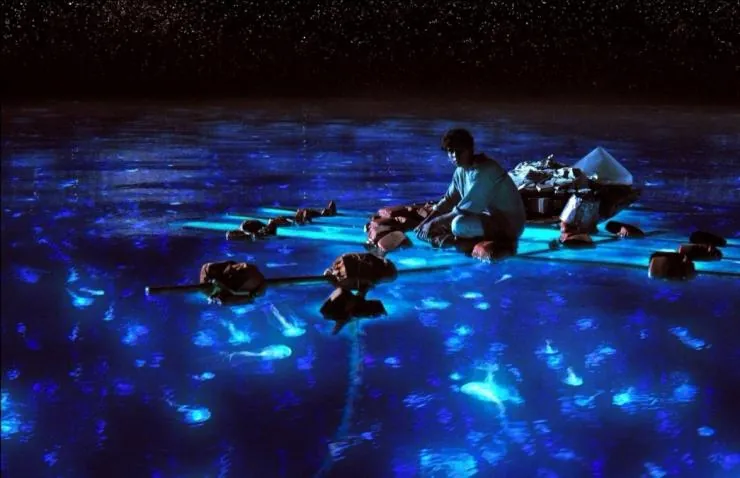 Жизнь Пи (2012) через торрент скачать Жизнь Пи (2012) фильм через торрент скачать