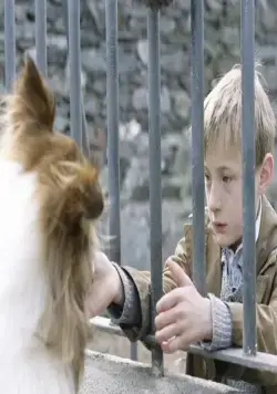 Лэсси (2005) через торрент скачать Лэсси (2005) фильм через торрент скачать