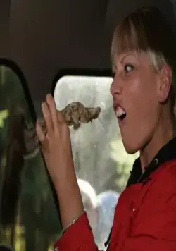 Никто не знает про секс (2006) через торрент скачать Никто не знает про секс (2006) фильм через торрент скачать