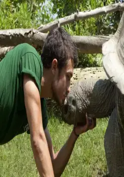 Луна над Турином (2013) через торрент скачать Луна над Турином (2013) фильм через торрент скачать