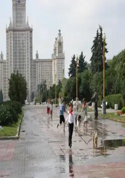 Собачий рай (2013) через торрент скачать Собачий рай (2013) фильм через торрент скачать