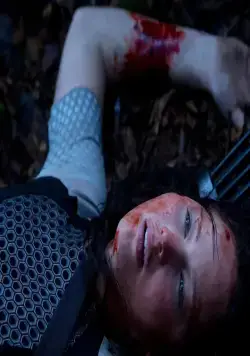 Голодные игры: И вспыхнет пламя (2013) в хорошем качестве через торрент Голодные игры: И вспыхнет пламя (2013) фильм в хорошем качестве через торрент