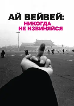 Ай Вейвей: Никогда не извиняйся / Ai Weiwei: Never Sorry (2012) фильм скачать через торрент в хорошем качестве