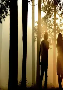 Норвежский лес (2010) через торрент скачать Норвежский лес (2010) фильм через торрент скачать