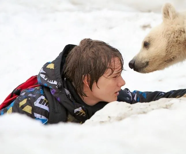 Полуночное солнце (2014) через торрент скачать Полуночное солнце (2014) фильм через торрент скачать