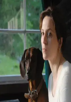 Стена (2011) через торрент бесплатно Стена (2011) фильм через торрент бесплатно