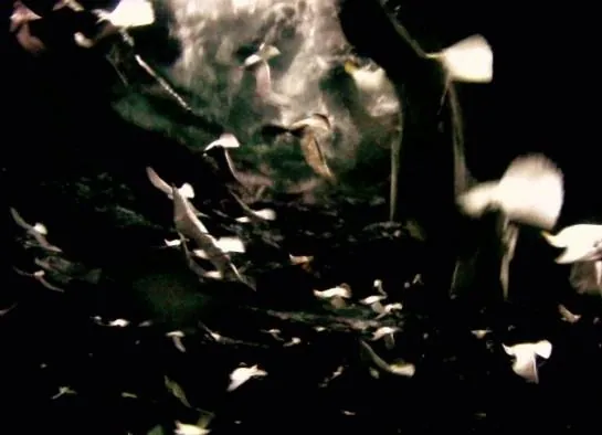 Левиафан (2012) через торрент скачать Левиафан (2012) фильм через торрент скачать