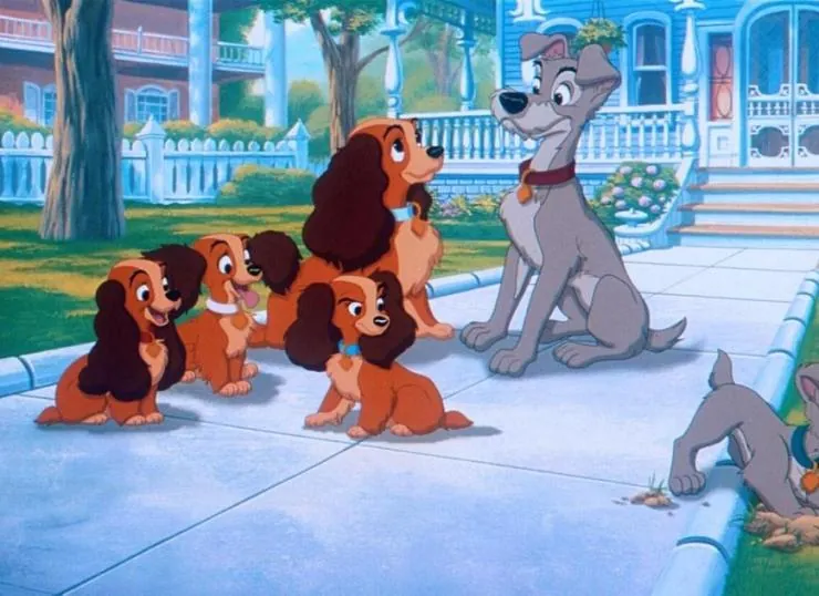 Леди и бродяга 2: Приключения Шалуна (2001) в хорошем качестве через торрент Леди и бродяга 2: Приключения Шалуна (2001) мультфильм в хорошем качестве через торрент