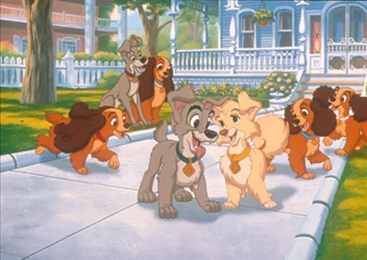 Леди и бродяга 2: Приключения Шалуна (2001) через торрент скачать Леди и бродяга 2: Приключения Шалуна (2001) мультфильм через торрент скачать