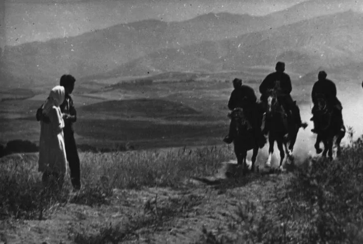 Белые, белые аисты (1966) через торрент скачать Белые, белые аисты (1966) фильм через торрент скачать