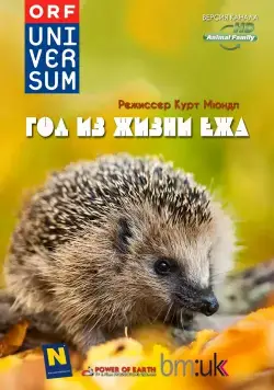 Год из жизни ежа / The Year of the Hedgehog (2009) фильм скачать через торрент в хорошем качестве