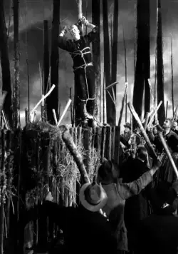 Невеста Франкенштейна (1935) через торрент бесплатно Невеста Франкенштейна (1935) фильм через торрент бесплатно