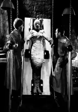 Невеста Франкенштейна (1935) в хорошем качестве через торрент Невеста Франкенштейна (1935) фильм в хорошем качестве через торрент