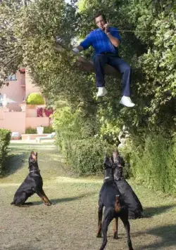 Сэнди Уэкслер (2017) через торрент бесплатно Сэнди Уэкслер (2017) фильм через торрент бесплатно