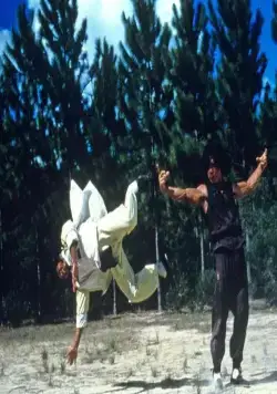 Пьяный мастер (1978) через торрент бесплатно Пьяный мастер (1978) фильм через торрент бесплатно