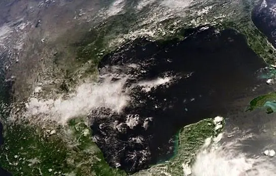 BBC: Жизнь (2009) через торрент скачать BBC: Жизнь (2009) сериал через торрент скачать