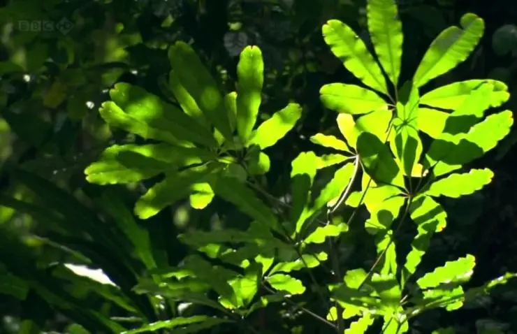 Как вырастить планету (2012) в хорошем качестве через торрент Как вырастить планету (2012) сериал в хорошем качестве через торрент