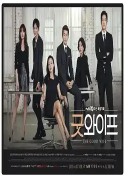 Хорошая жена / Gut waipeu (2016) сериал скачать через торрент в хорошем качестве