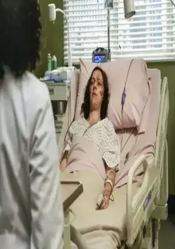 Анатомия страсти (2005) в хорошем качестве через торрент Анатомия страсти (2005) сериал в хорошем качестве через торрент