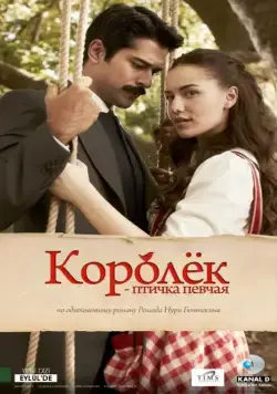 Королёк – птичка певчая / Çalikusu (2013) сериал скачать через торрент в хорошем качестве