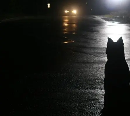 Возмездие (2010) в хорошем качестве через торрент Возмездие (2010) сериал в хорошем качестве через торрент