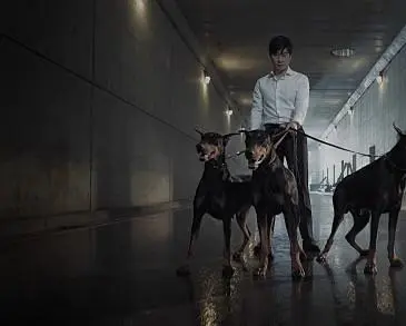 Плохие парни (2014) через торрент скачать Плохие парни (2014) сериал через торрент скачать