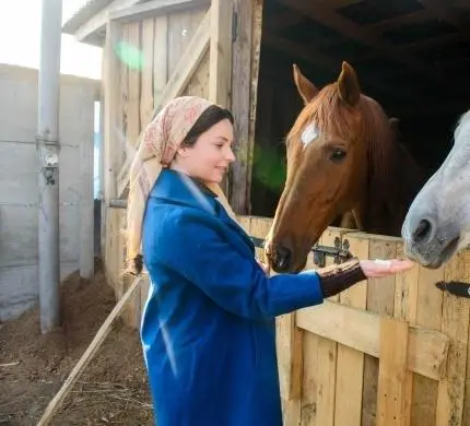 Все равно ты будешь мой (2015) через торрент бесплатно Все равно ты будешь мой (2015) сериал через торрент бесплатно