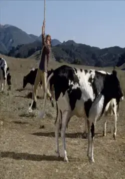 Крысиные бега (2001) через торрент бесплатно Крысиные бега (2001) фильм через торрент бесплатно