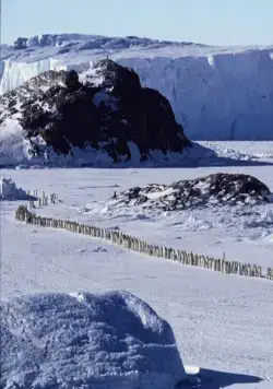 Птицы 2: Путешествие на край света (2004) в хорошем качестве через торрент Птицы 2: Путешествие на край света (2004) фильм в хорошем качестве через торрент