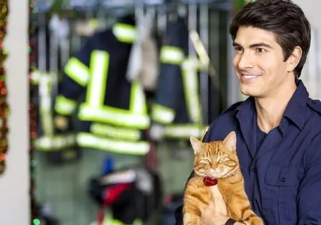 Девять жизней Рождества (2013) через торрент скачать Девять жизней Рождества (2013) фильм через торрент скачать