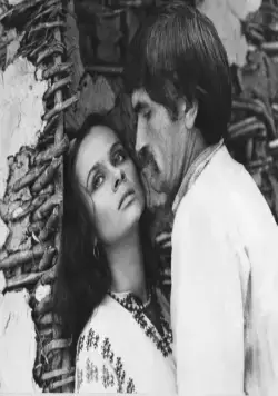 Вавилон XX (1979) через торрент скачать Вавилон XX (1979) фильм через торрент скачать