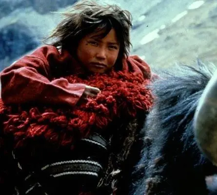 Гималаи (1999) в хорошем качестве через торрент Гималаи (1999) фильм в хорошем качестве через торрент