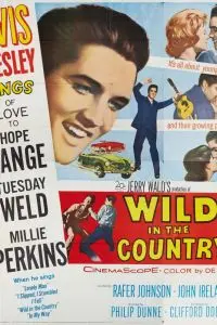 Одиночка / Wild in the Country (1961) фильм скачать через торрент в хорошем качестве