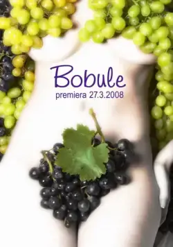Ягоды / Bobule (2008) фильм скачать через торрент в хорошем качестве