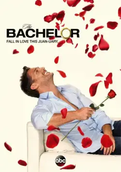 Холостяк / The Bachelor (2002) сериал скачать через торрент в хорошем качестве