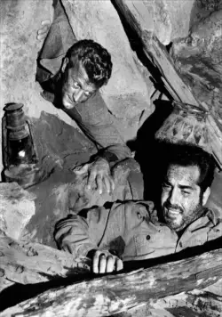 Туз в рукаве (1951) через торрент скачать Туз в рукаве (1951) фильм через торрент скачать