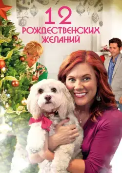 12 Рождественских желаний / The Twelve Wishes of Christmas (2011) фильм скачать через торрент в хорошем качестве