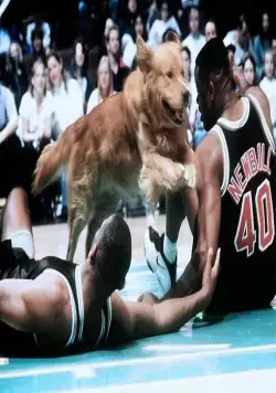 Король воздуха: Золотая лига (1998) через торрент скачать Король воздуха: Золотая лига (1998) фильм через торрент скачать