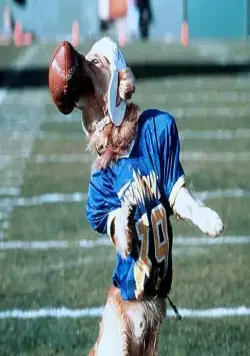 Король воздуха: Золотая лига (1998) в хорошем качестве через торрент Король воздуха: Золотая лига (1998) фильм в хорошем качестве через торрент