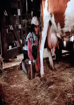 Зятек (1993) через торрент бесплатно Зятек (1993) фильм через торрент бесплатно