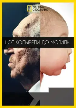 От колыбели до могилы / Cradle to Grave (2017) фильм скачать через торрент в хорошем качестве